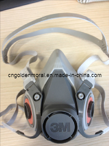 Safety Mask 6200