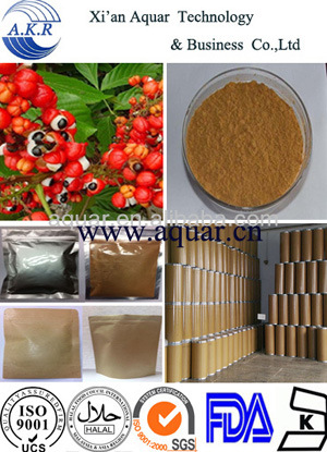 Manufacturer Supply High Quality Guarana Seed Extract10%, 15% by HPLC in Stock