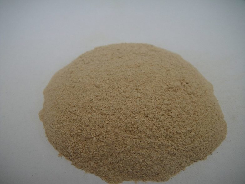 High Protein Fish Meal for Animal Feed with Good Quality