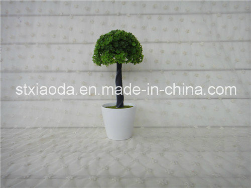Artificial Plastic Potted Flower (XD14-142)