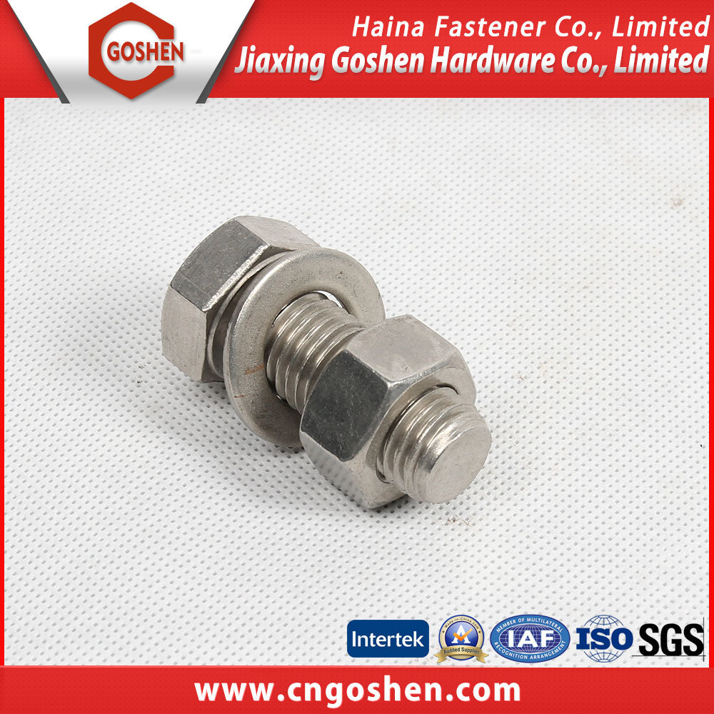 High Quality Hex Bolt with Nut (a2-70)