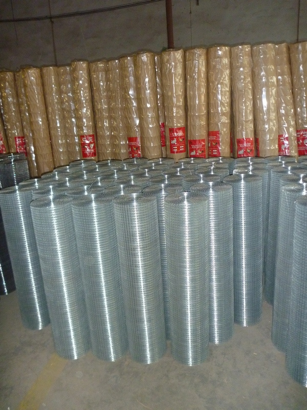 Galvanized Wire Mesh
