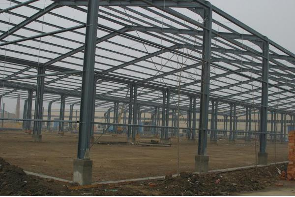 Steel Structure Workshop/Buildings