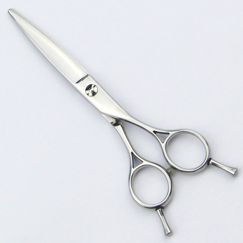 Professional Salon Hair Dressing Scissors (025-S)