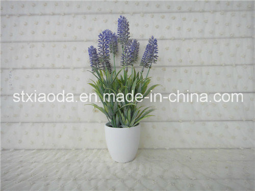 Artificial Plastic Potted Flower (XD14-167)