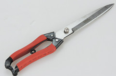 Multi-Functional Spring Scissors