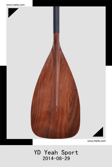 Excellent Design Cheap Sales Extendable Paddle