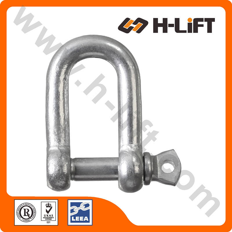 European Type Large Dee Shackle (SH06)