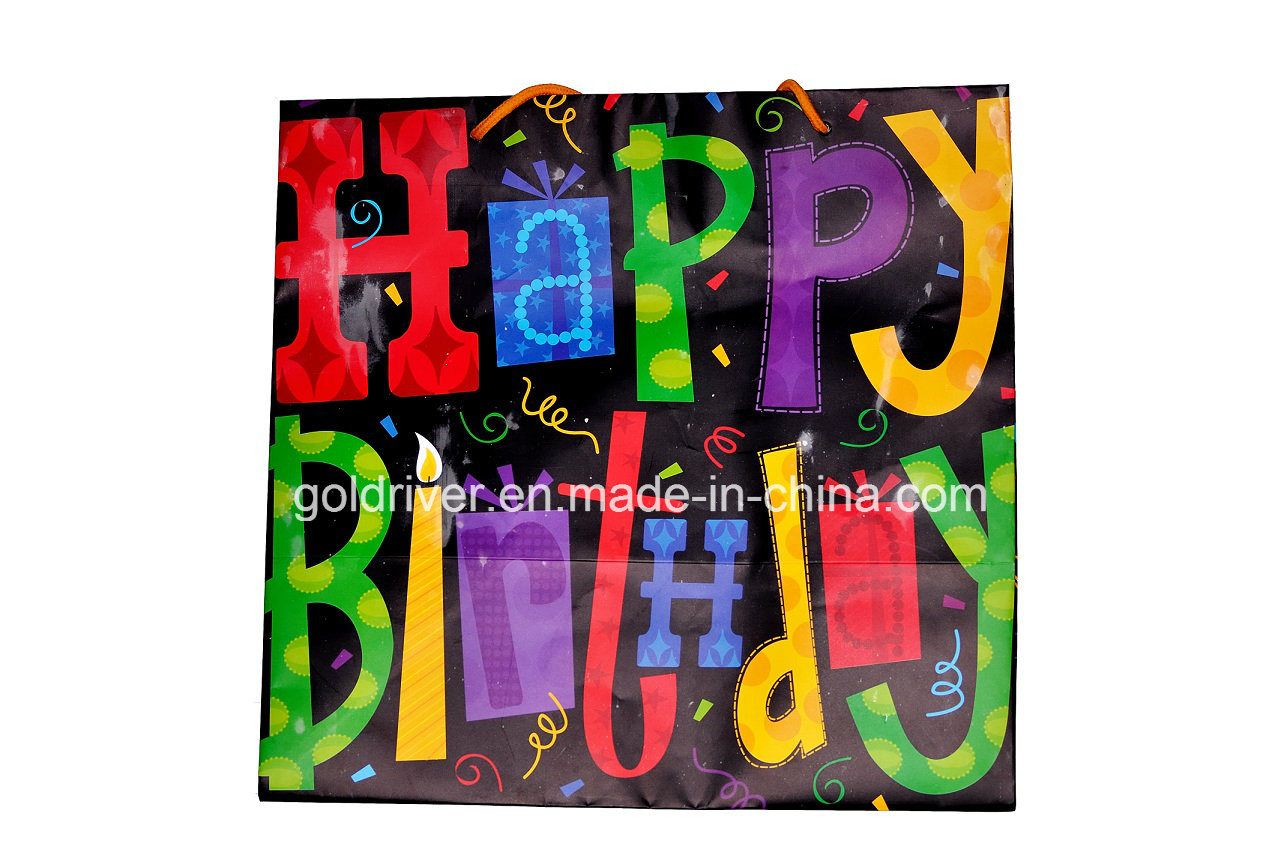 Big Printing Paper Gift Bag for Shopping/Promotion/Household (BK-305)