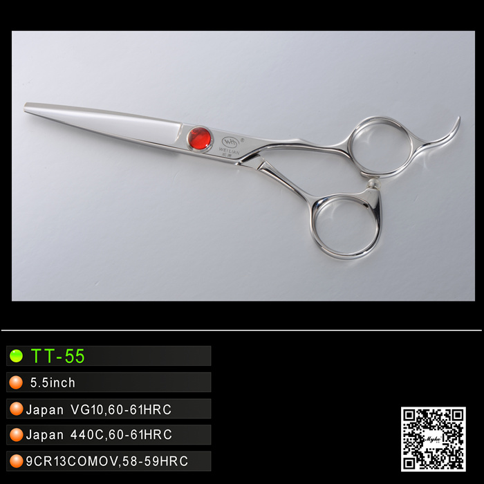 Japanese Stainless Steel Hairdressing Salon Scissors (TT-55)