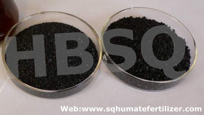 95% Refined Super Sodium Humate Fertilizer
