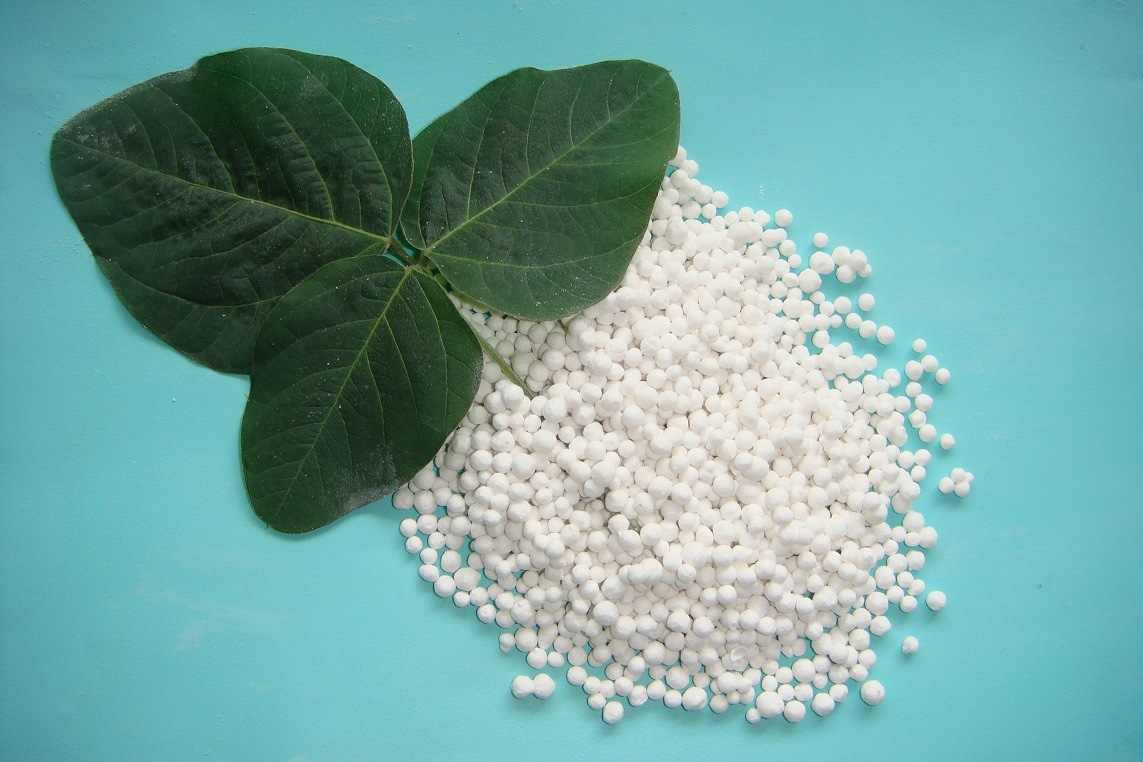 Zinc Sulphate Heptahydrate (Powder / Granular)