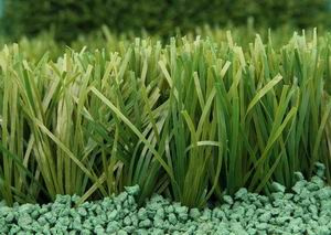 Artificial Grass