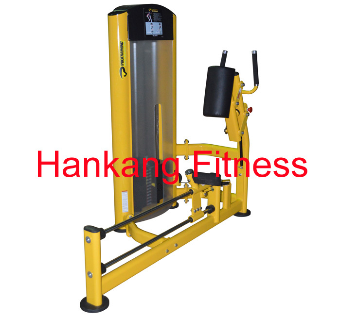 Home Gym, Gym Equipment, Fitness-Glute (PT-912)