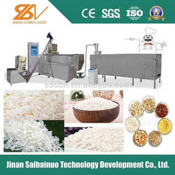 Instant/Artificial Rice Processing Line, Machinery (SLG70)