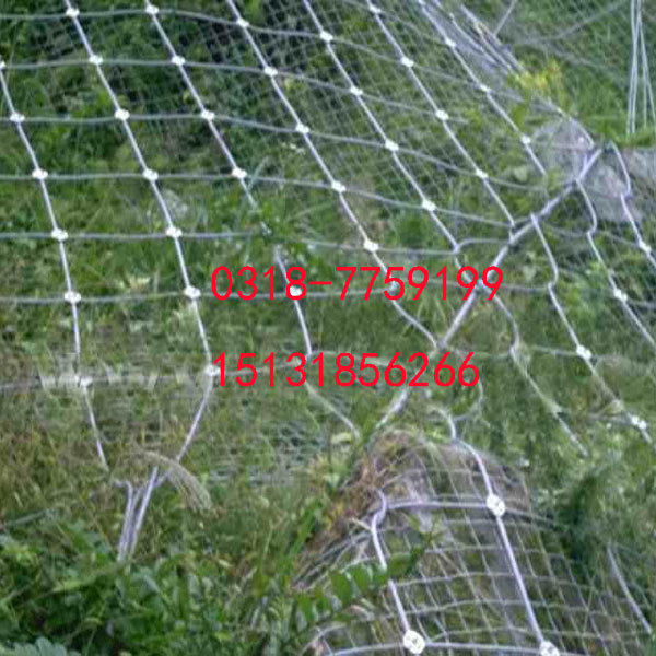 Slope Protection Netting Rockfall Netting