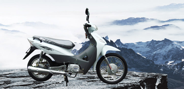 Cub Motorcycle (SPRING110 STD)