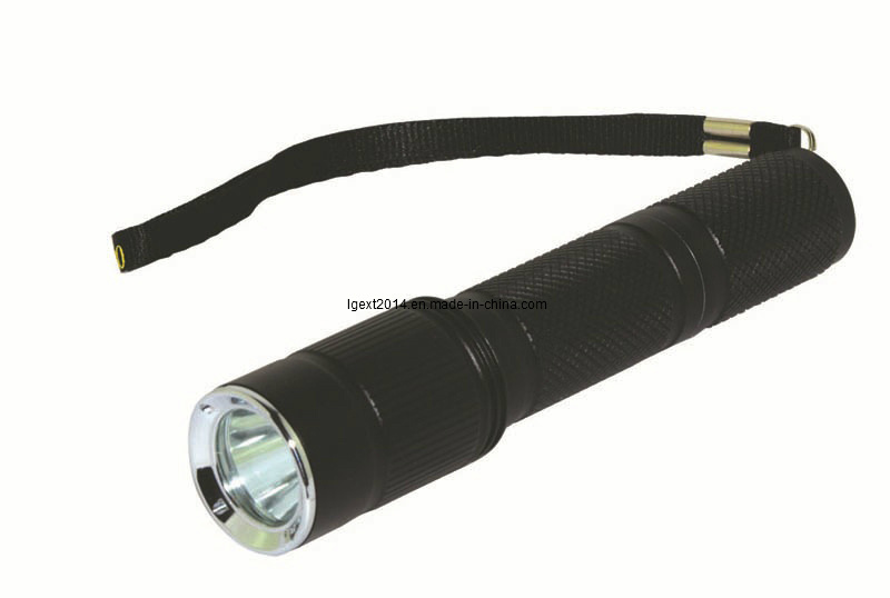 Explosion Proof Flashlight, Flashlight, Torch Light