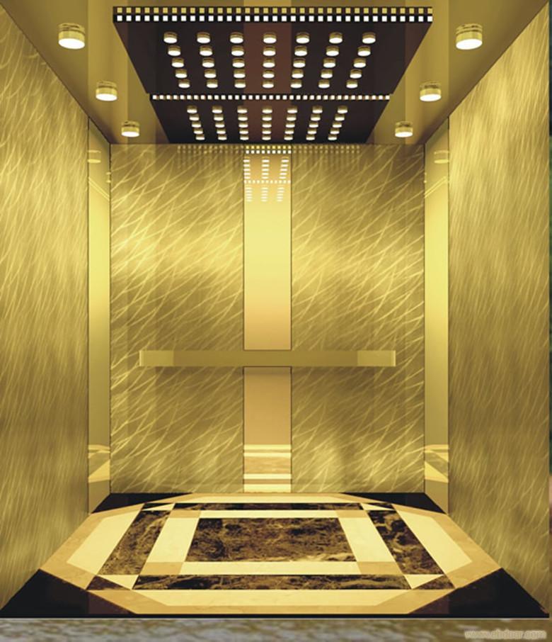 Luxurious Passenger Elevator