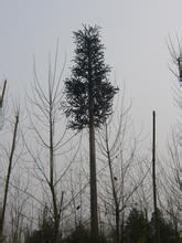 Camouflaged Tower Telecom Bionic Artificial Tree Tower