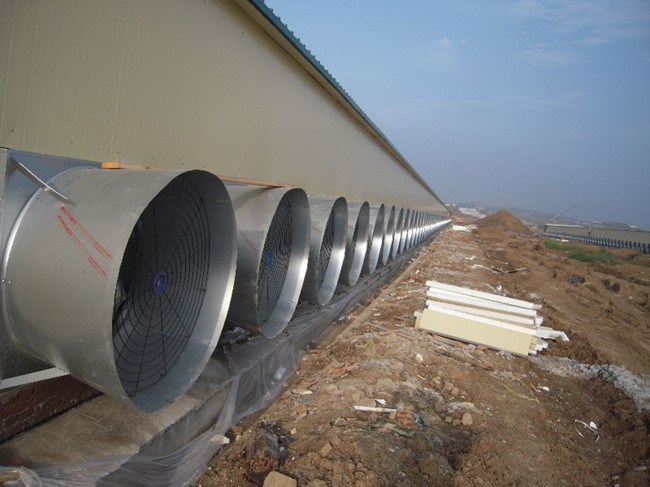 Cone Fan for Poultry (OFS)