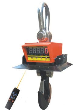 Crane Scale
