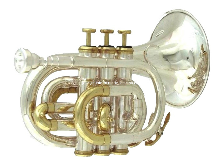 C Key Pocket Trumpet (JPTC-200)