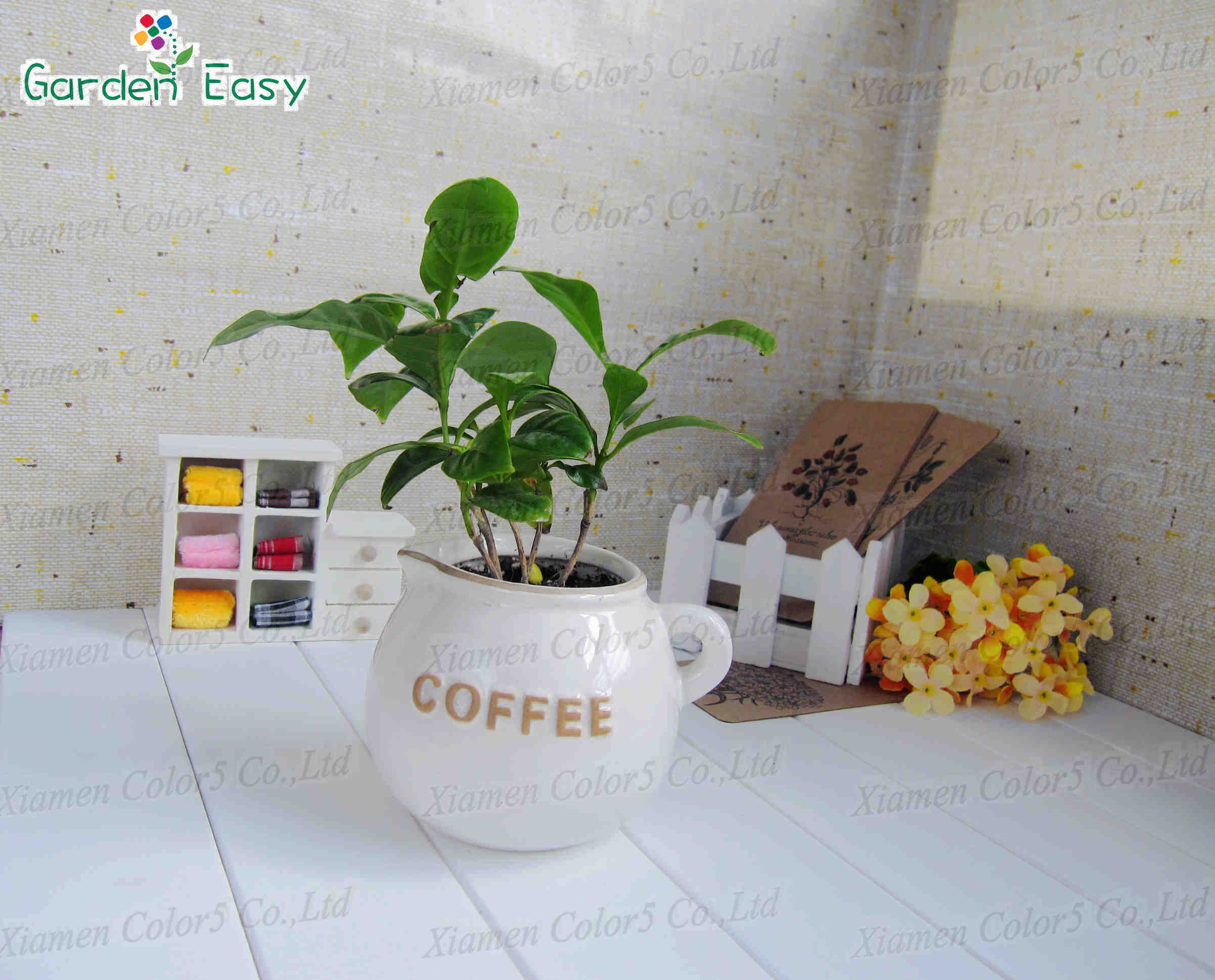 Coffee Pot Planting (002002) , Mini Pot, Mini Planter