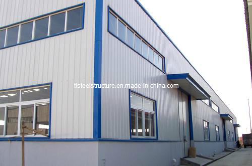 Professional Design Steel Structure Warehouse Shed Building