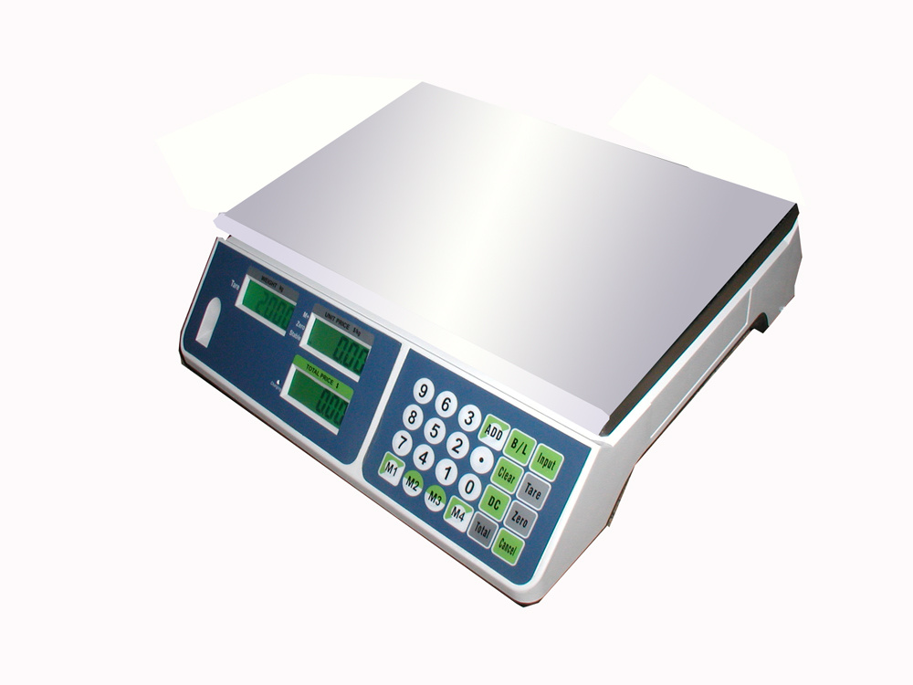 Electronic Scale