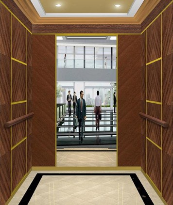 Passenger Load Elevator