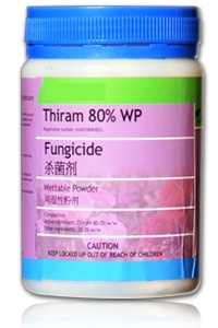 Thiram 80%WP