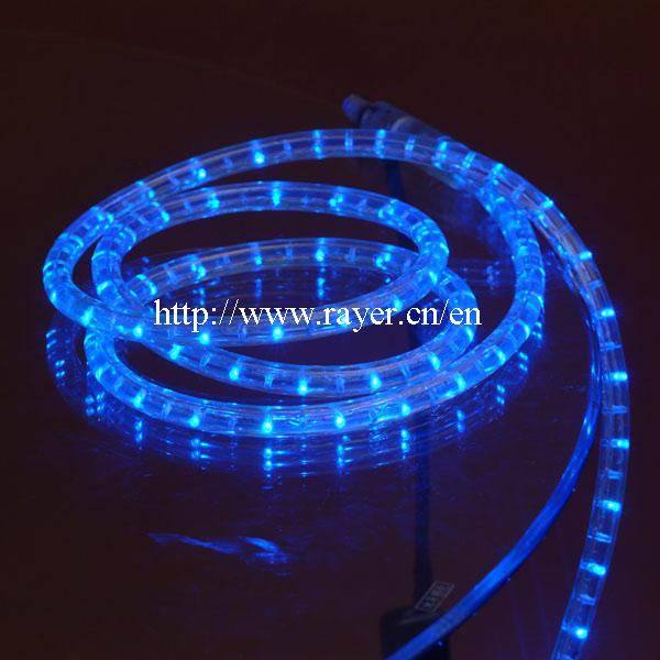 Outdoor Decoration LED Rope Light -Blue