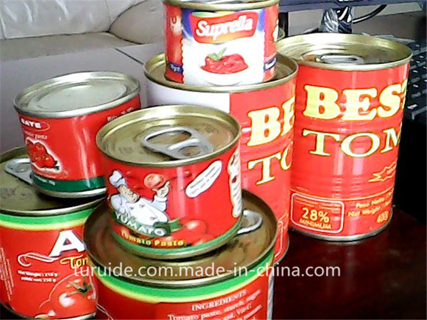 Cold Break Tomato Paste in Can From China