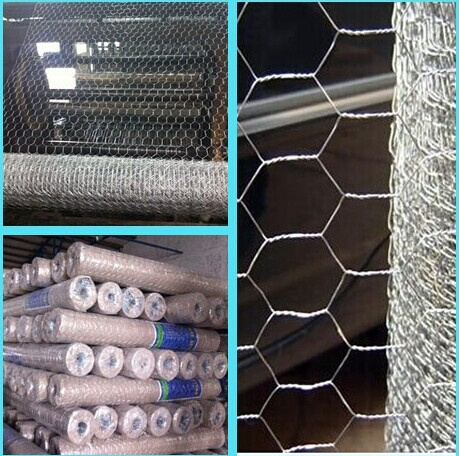 Hexagonal Wire Mesh/ Hex Netting