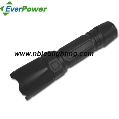 High Power CREE LED Flashlight / Flashlights / Torch / LED Torch (FH-1024)