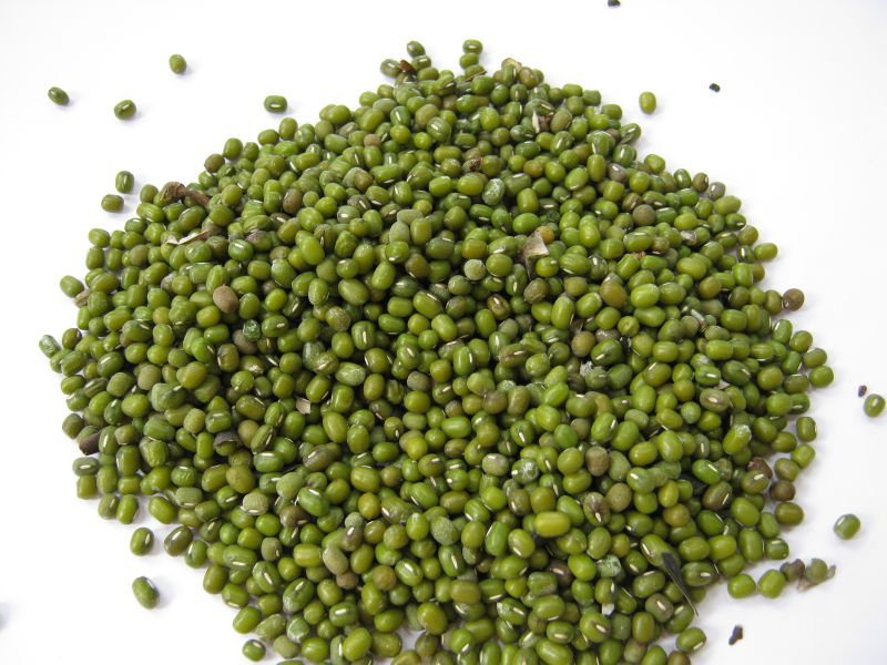 Non-Gmo Organic Green Mung Beans with Good Price