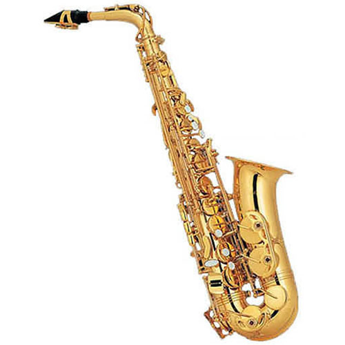 Popular Alto Saxophone/ Musical Instrument (AS-100)