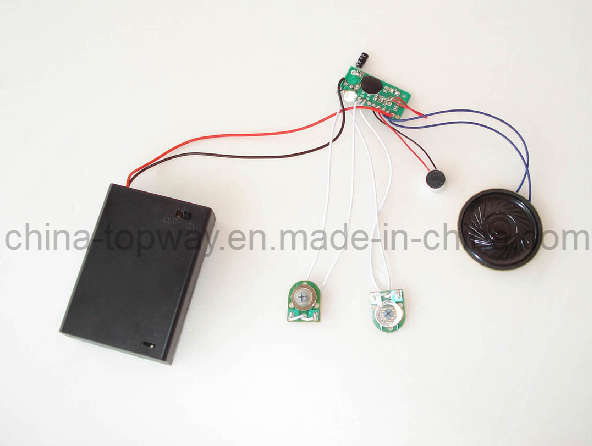 Voice Recording Module (TW-C13RM)