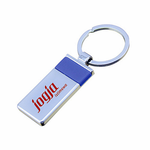 Promotion New Style Rectangle Keyring Gift with Customer Logo (F1002C)