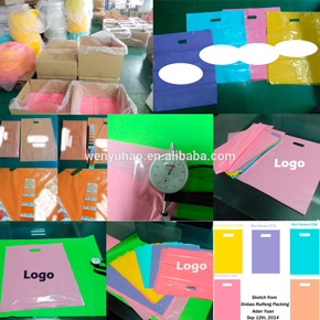2015 High Quality Custom Plastic Shopping Bags Made in China