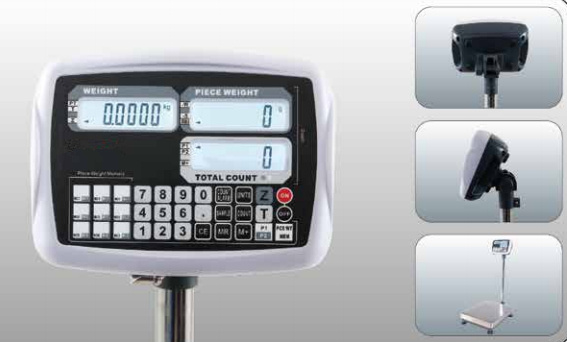Counting Platform Scale