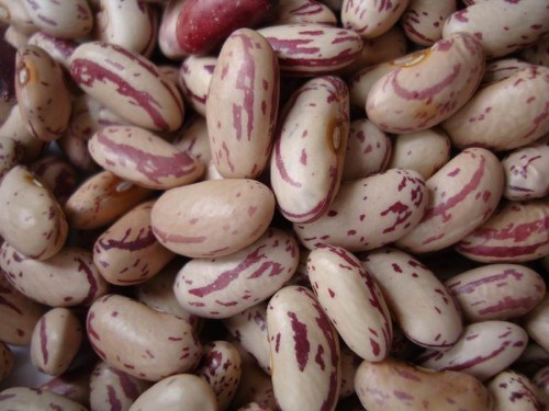 Light Speckled Kidney Beans