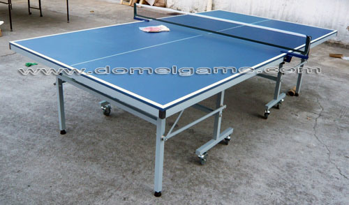 Table Tennis Table DTT9025