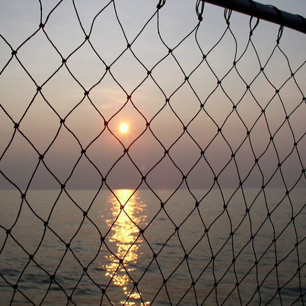 PP Fishing Net