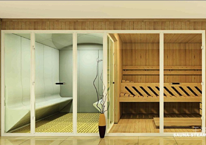 Luxury New Design Dry and Wet Sauna Steam Room Two in One (RY1001)