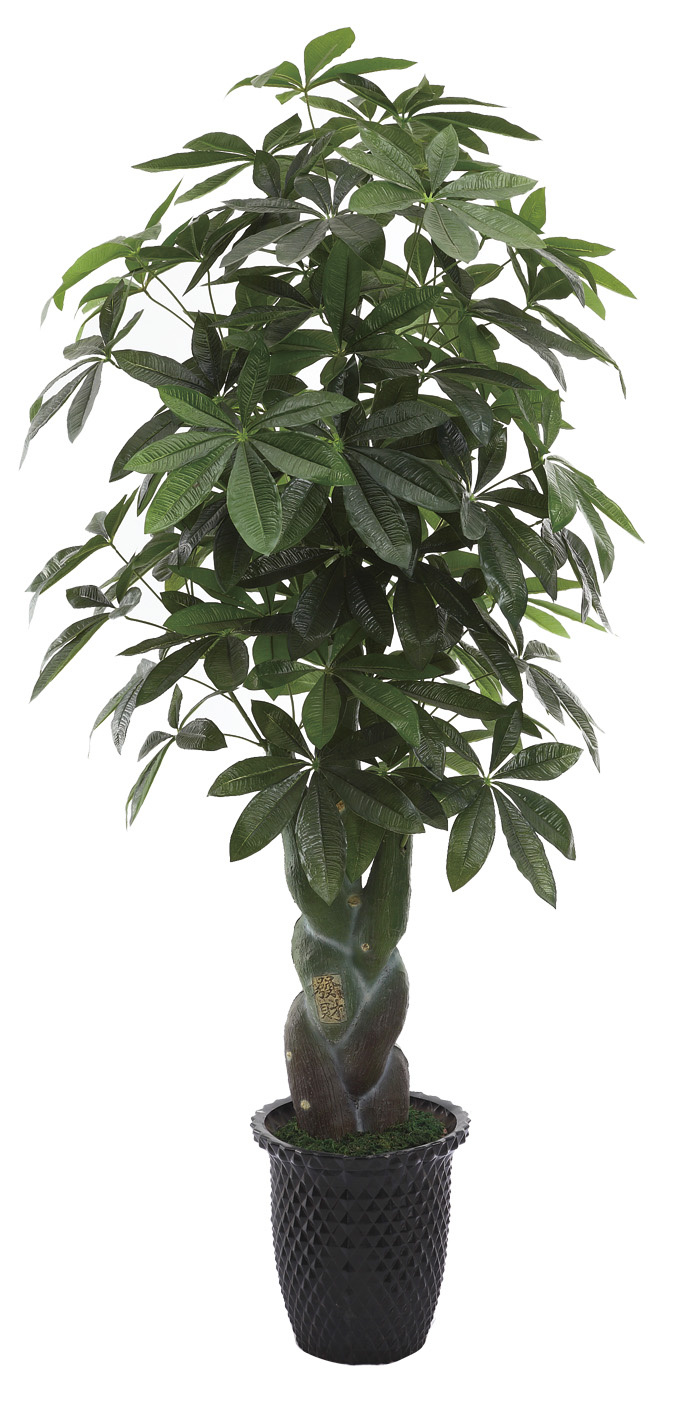 0030 Monery Tree Good Luck to Get When You Buy The Tree---SGS High Standard