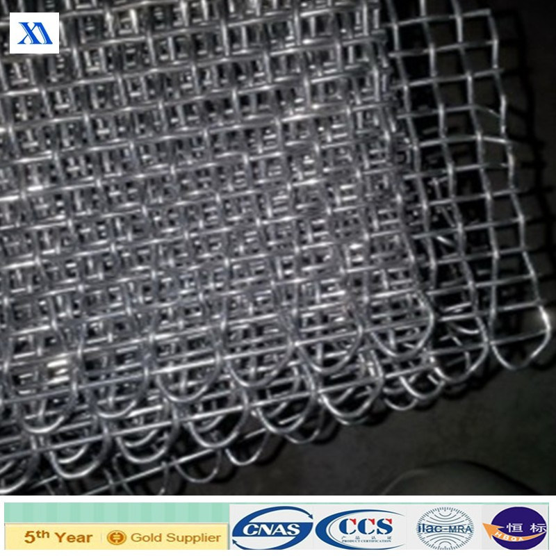 High Quality Crimped Wire Cloth (XA-CWM06)