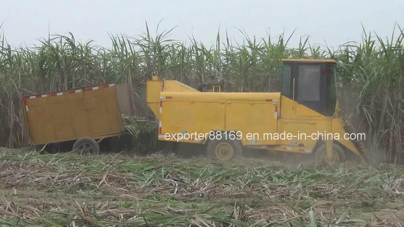 Sugarcane Combine Harvester
