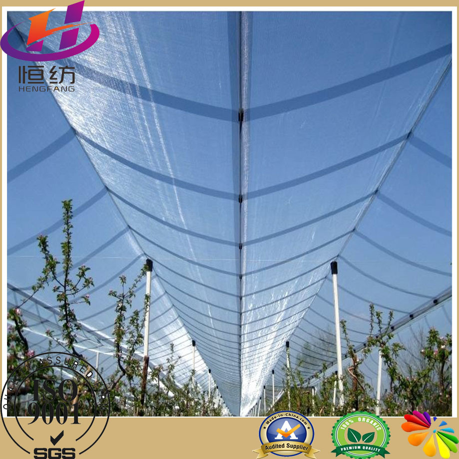 100% Virgin HDPE Anti-Hail Net for Agriculture